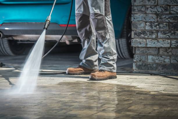 Best Roof Washing  in South Haven, IN